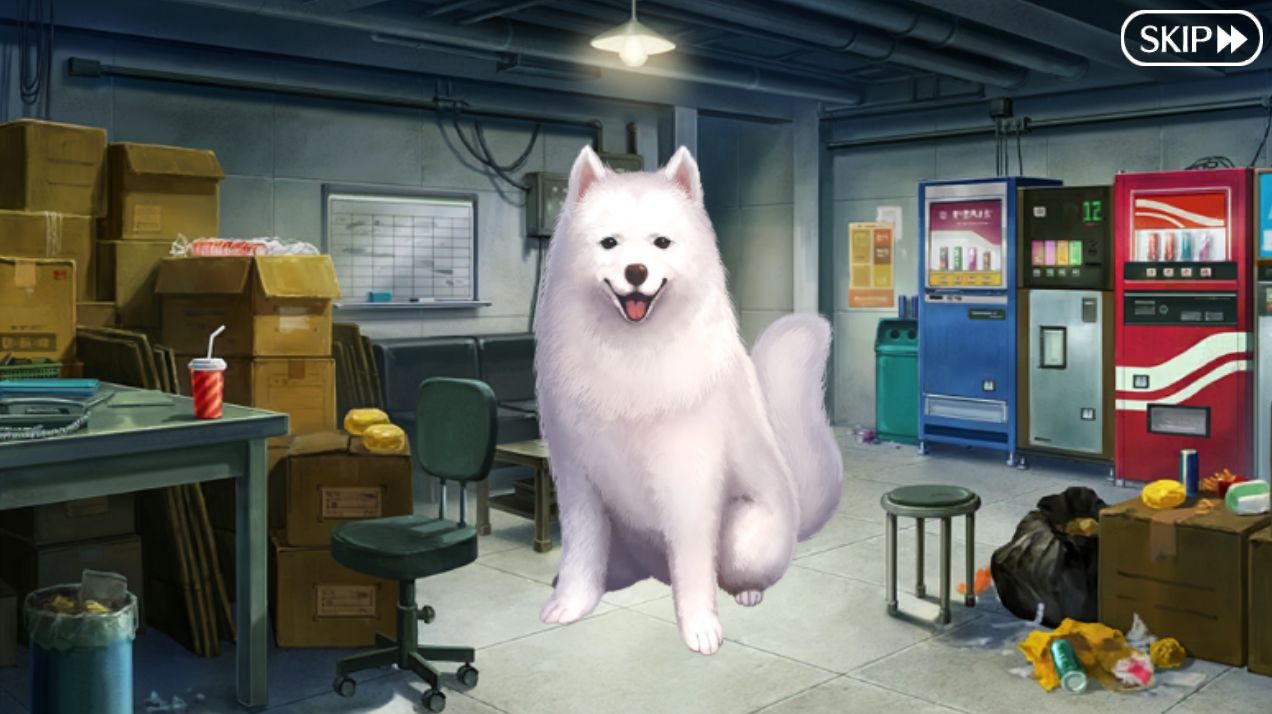 Shinjuku-Section5-12